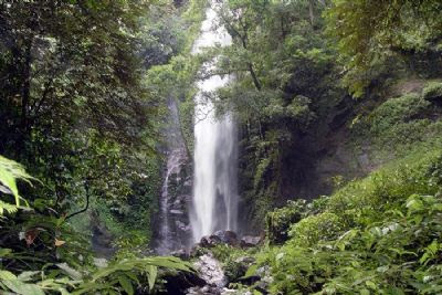 萝莉岛热带雨林景区